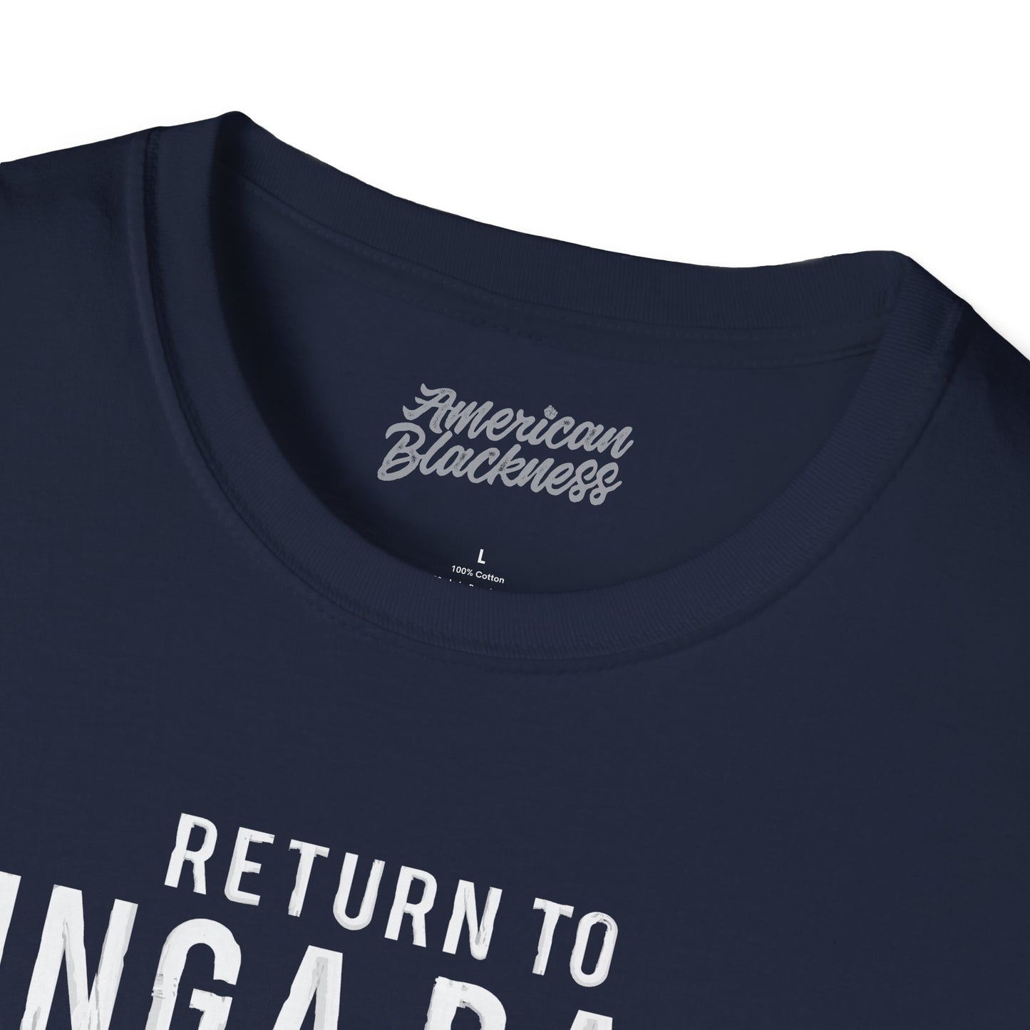 Chicago 'Return to Binga Bank' Graphic T-Shirt