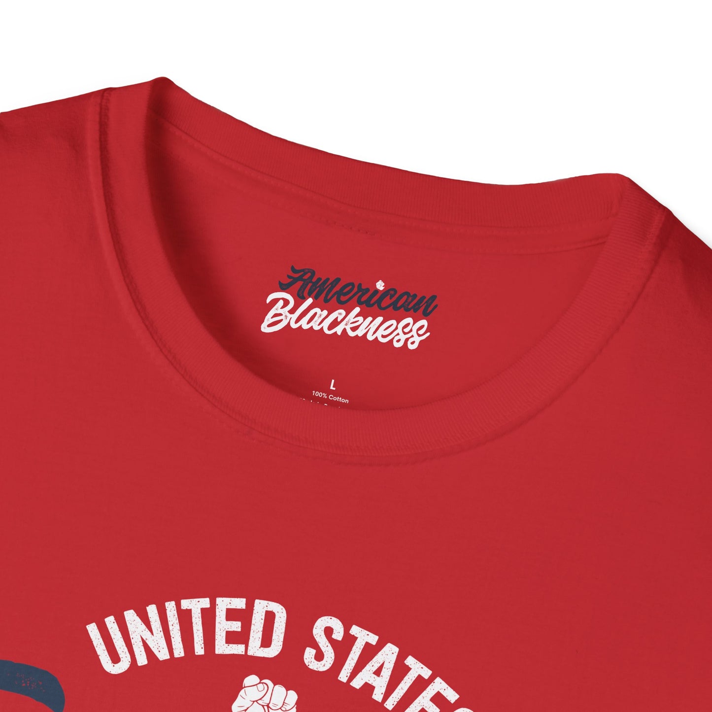 T-Shirt — "United States Freedmen of Amerikkka" Patriotic Vintage Graphic Tee