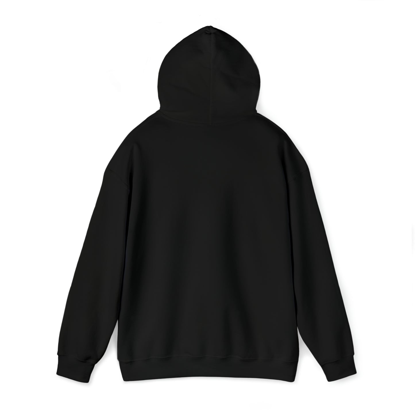 Non Immigrant Hooded Sweatshirt